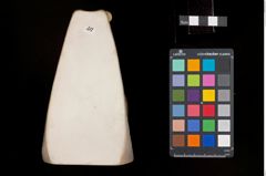 Foto einer Buchstütze in Schneckenform (NHMW-ZOO-MO-0081100-ETH-041)